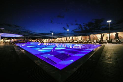 Aria Mitrovici (Podgorica)